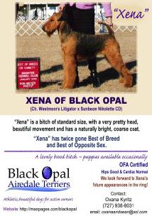 Xena of Black Opal ad